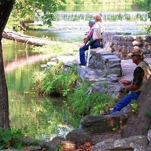 Meet your Posher, Phyllis